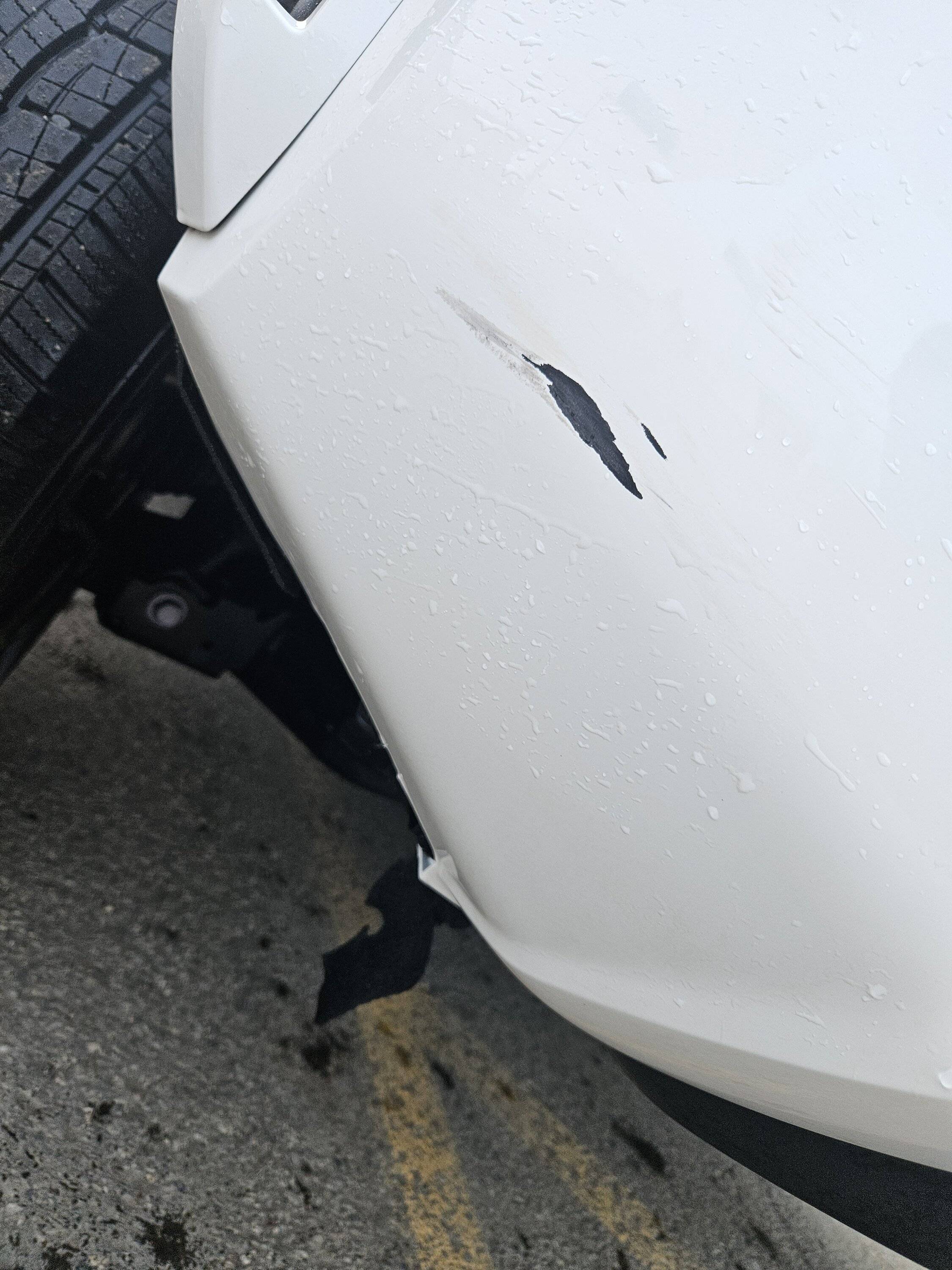 2024 Tacoma Front bumper got abused today. Some advice on the paint? 1000003698