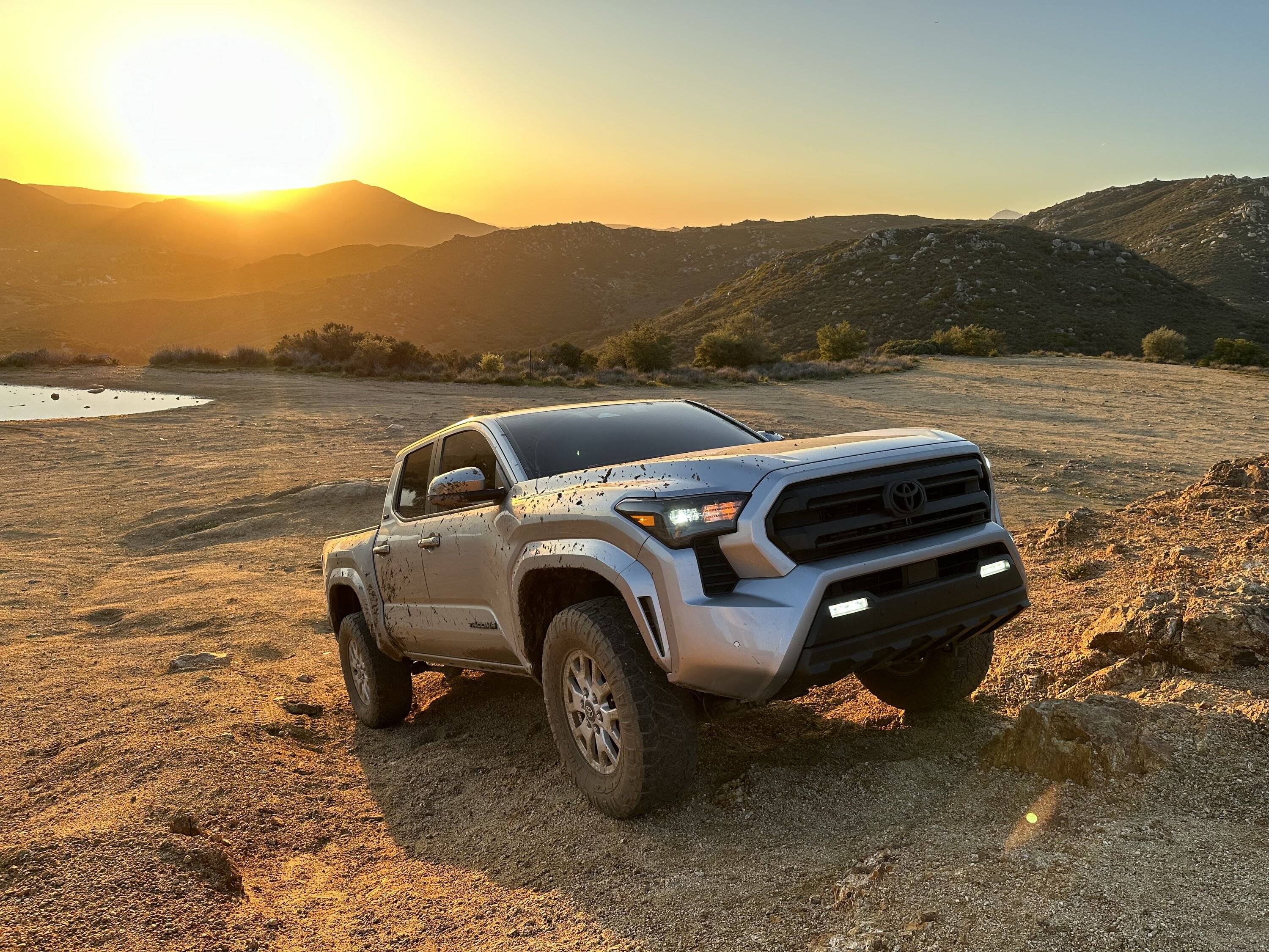 2024 Tacoma Random 2024 Tacoma 4th Gen Photos of the Day - Post Yours! 📸 🤳 IMG_8639