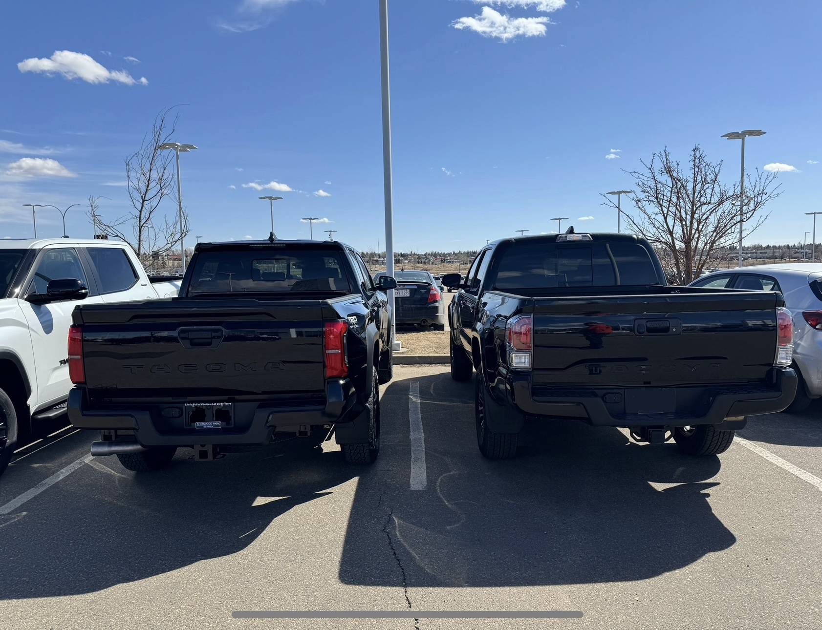 2024 Tacoma BLACK 2024 Tacoma Thread (4th Gen) IMG_8518
