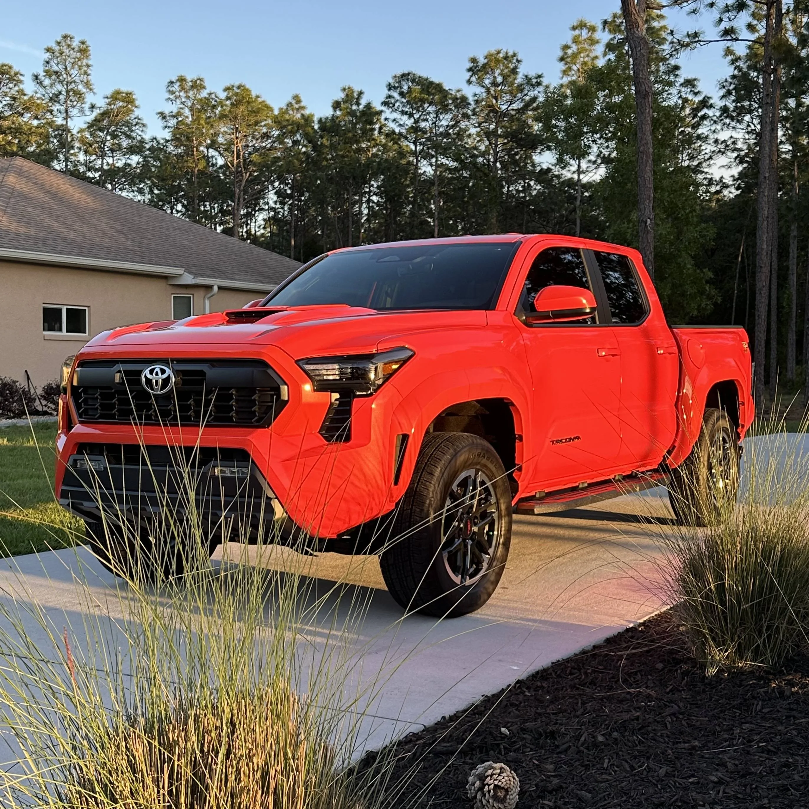 2024 Tacoma 2024+ Tacoma 4th Gen OWNERS Registry List & Stats [Add Yours]! 📊 IMG_3803