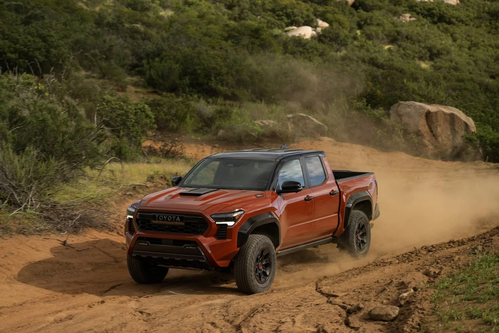 2024 Tacoma TERRA 2024 Tacoma Thread (4th Gen) 2024_Toyota_Tacoma_TRD Pro_Terra_215
