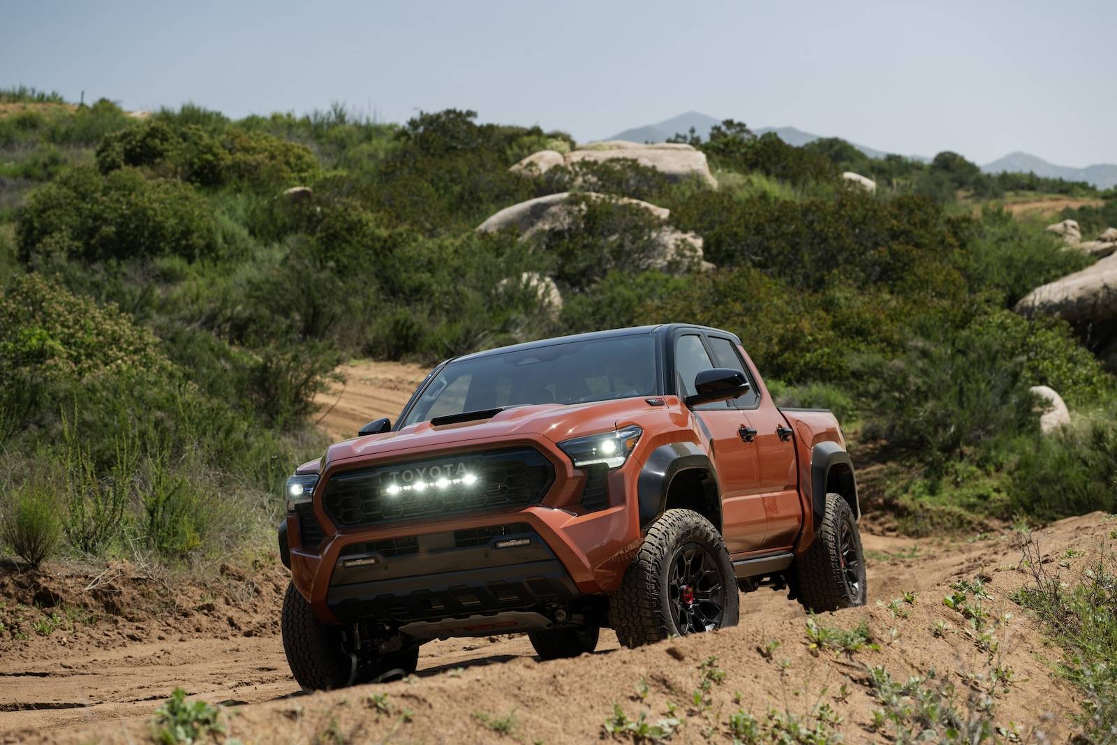 2024 Tacoma TERRA 2024 Tacoma Thread (4th Gen) 2024_Toyota_Tacoma_TRD Pro_Terra_007
