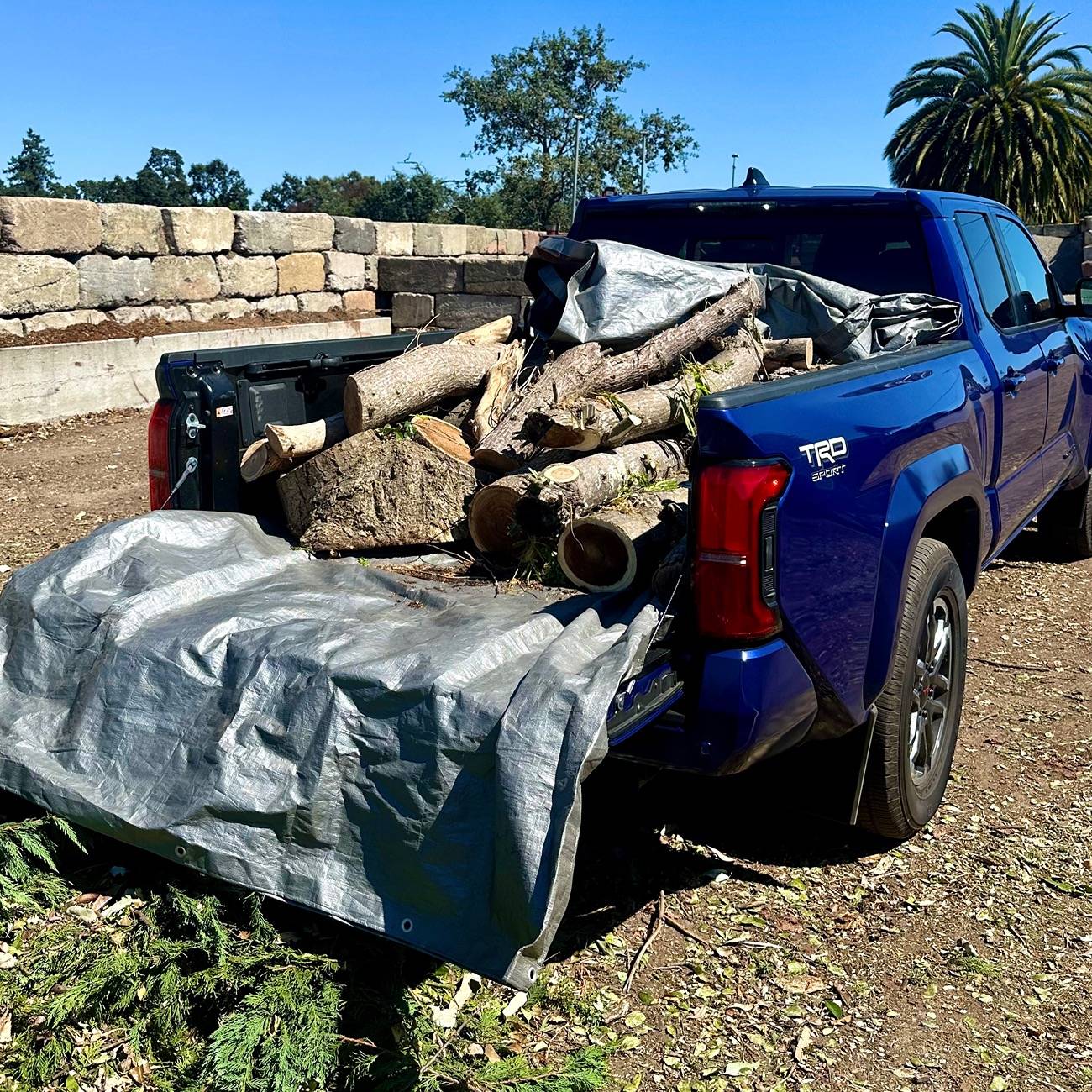 2024 Tacoma What have you hauled with your 4G Tacoma? Post em up! ππ»ββοΈ IMG_5002