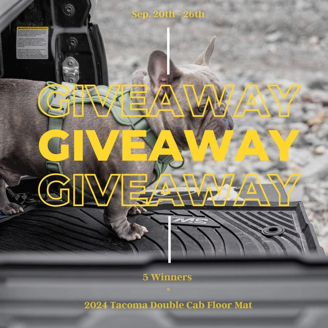 Black Minimalist Giveaway Jewellery Instagram Post.jpg