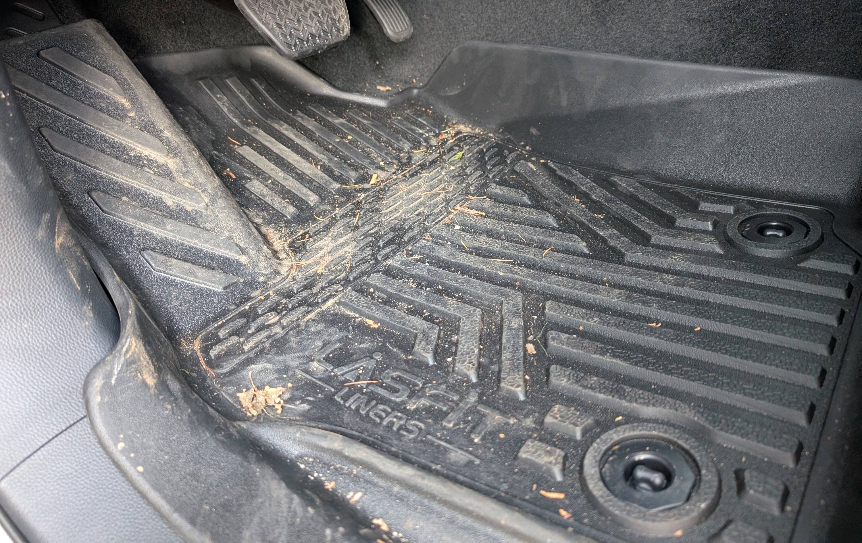 2024 Tacoma Lasfit all weather floormats crush the PNW rain and snow PXL_20241201_234428526