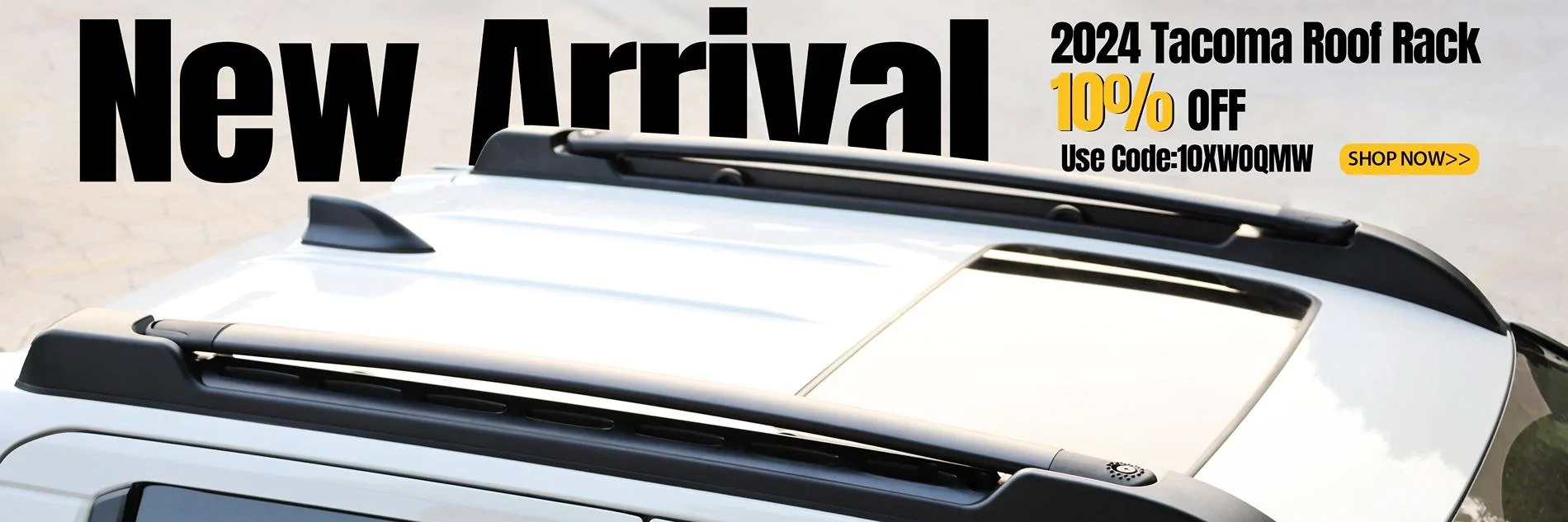 TT 3000 1000 拷贝.webp