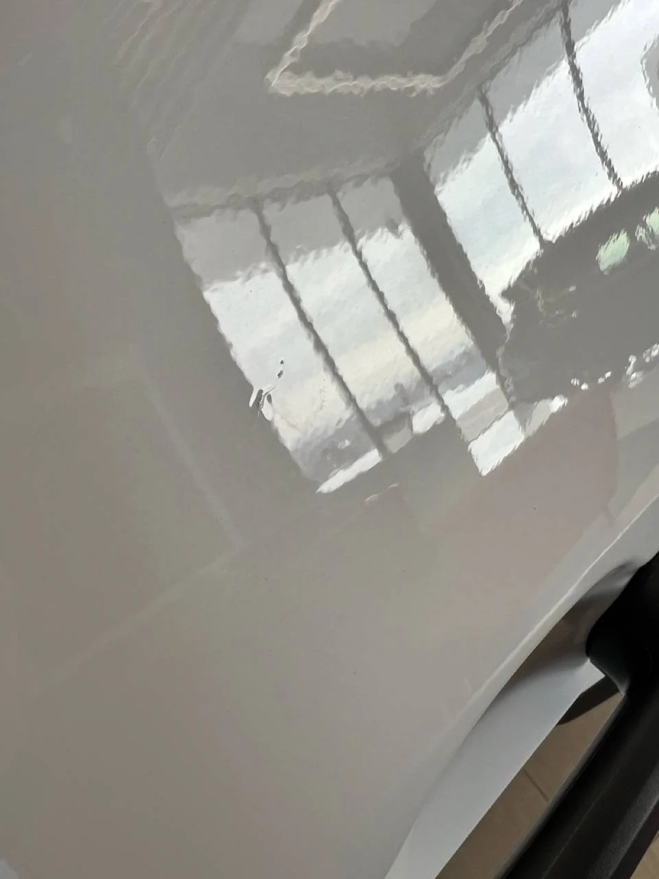IMG_1630 Large.webp