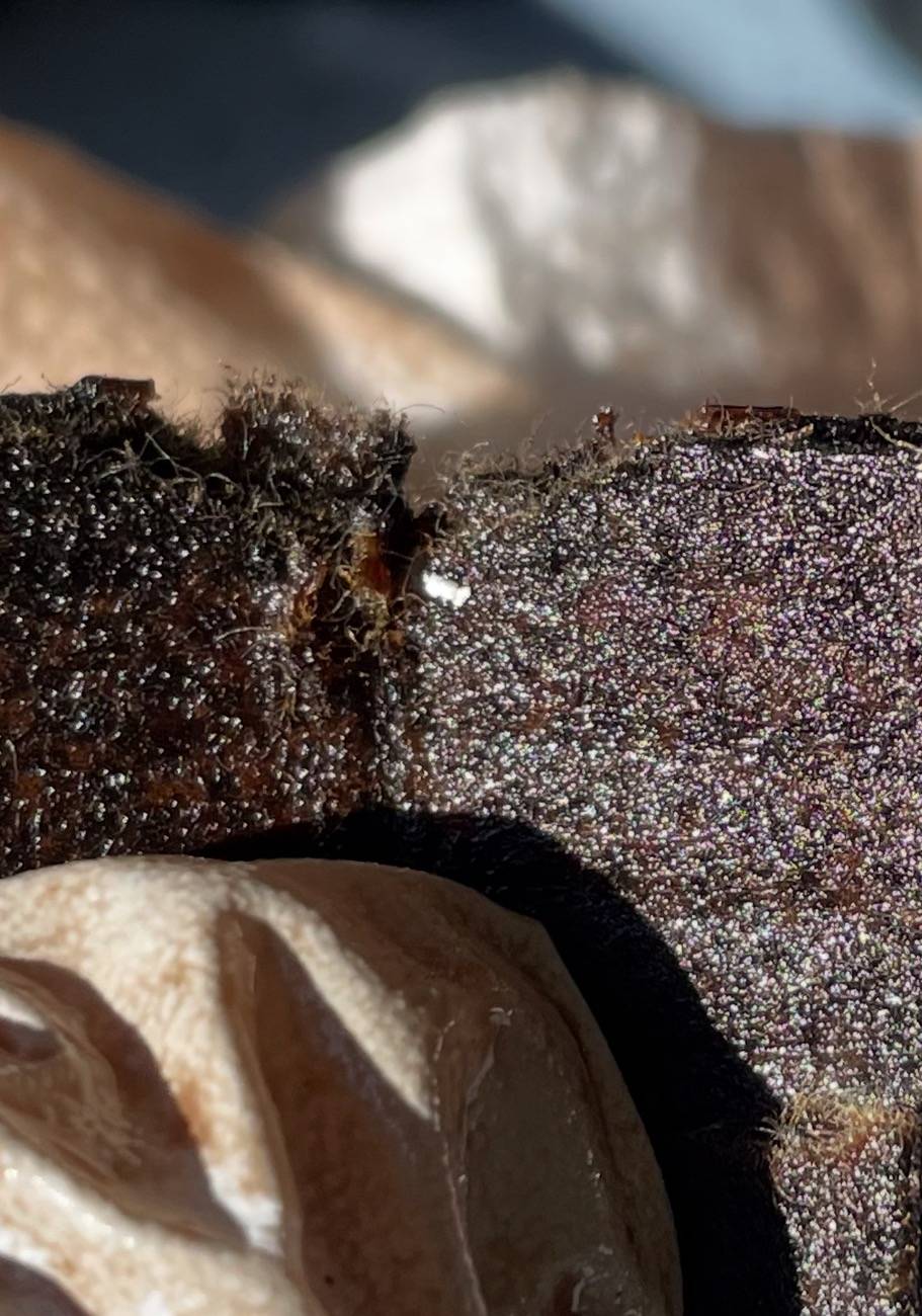 2024 Tacoma Second oil change at 5000 miles. More metal debris found (with pics!) IMG_6370