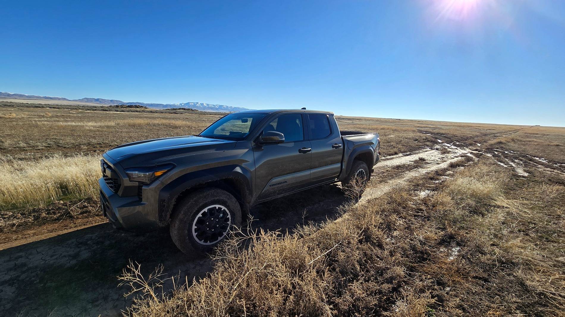 2024 Tacoma Random 2024 Tacoma 4th Gen Photos of the Day - Post Yours! 📸 🤳 20250301_095131