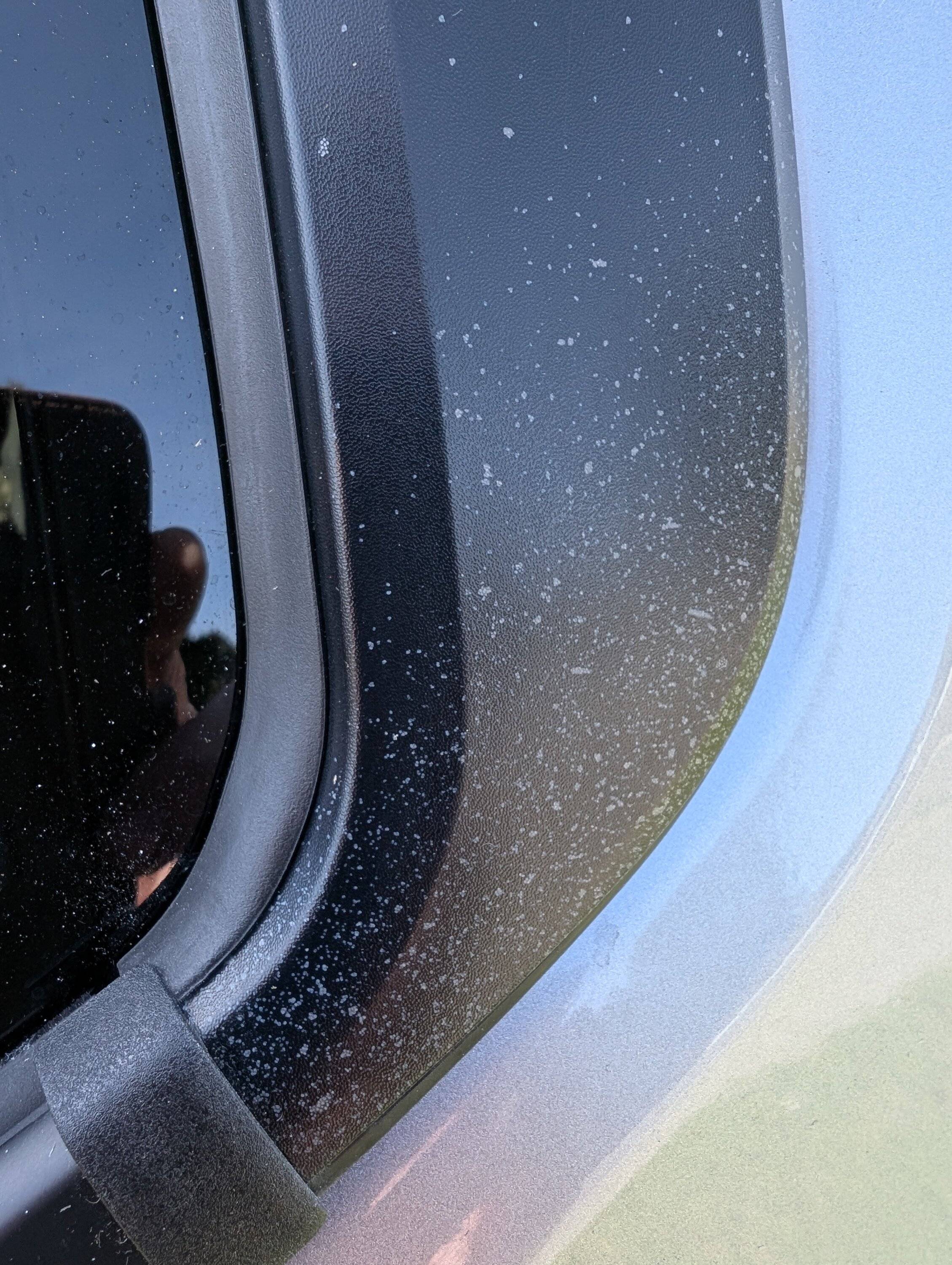 2024 Tacoma Unknown spotting appears on window trim Both sides in same exact area ! PXL_20250320_190737231