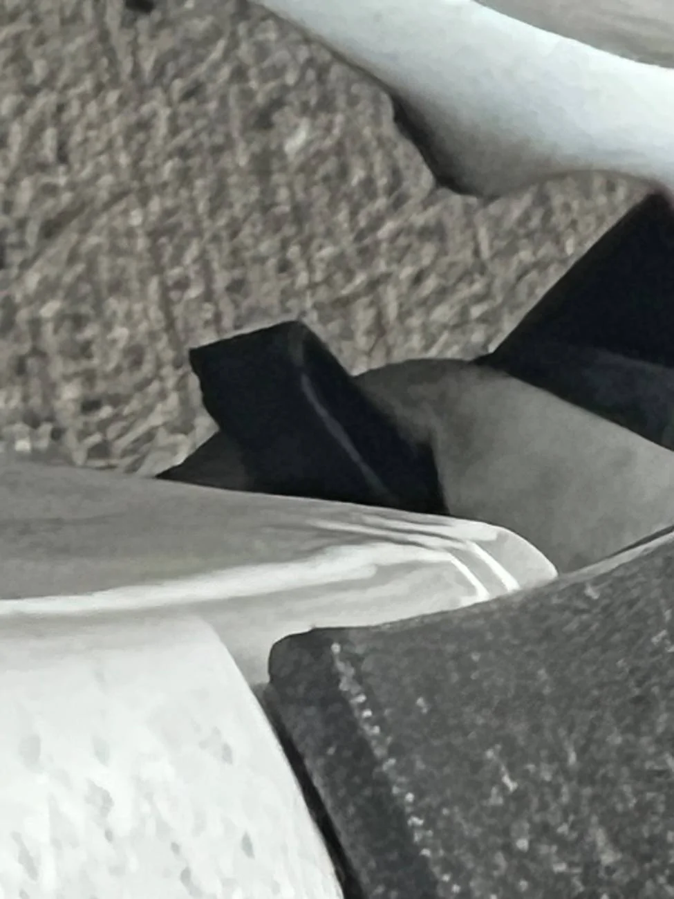 2024 Tacoma Body clip part number please IMG_6518