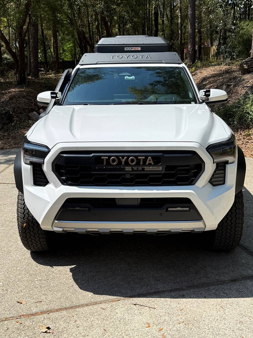 2024 Tacoma Random 2024 Tacoma 4th Gen Photos of the Day - Post Yours! 📸 🤳 IMG_4995.JPG