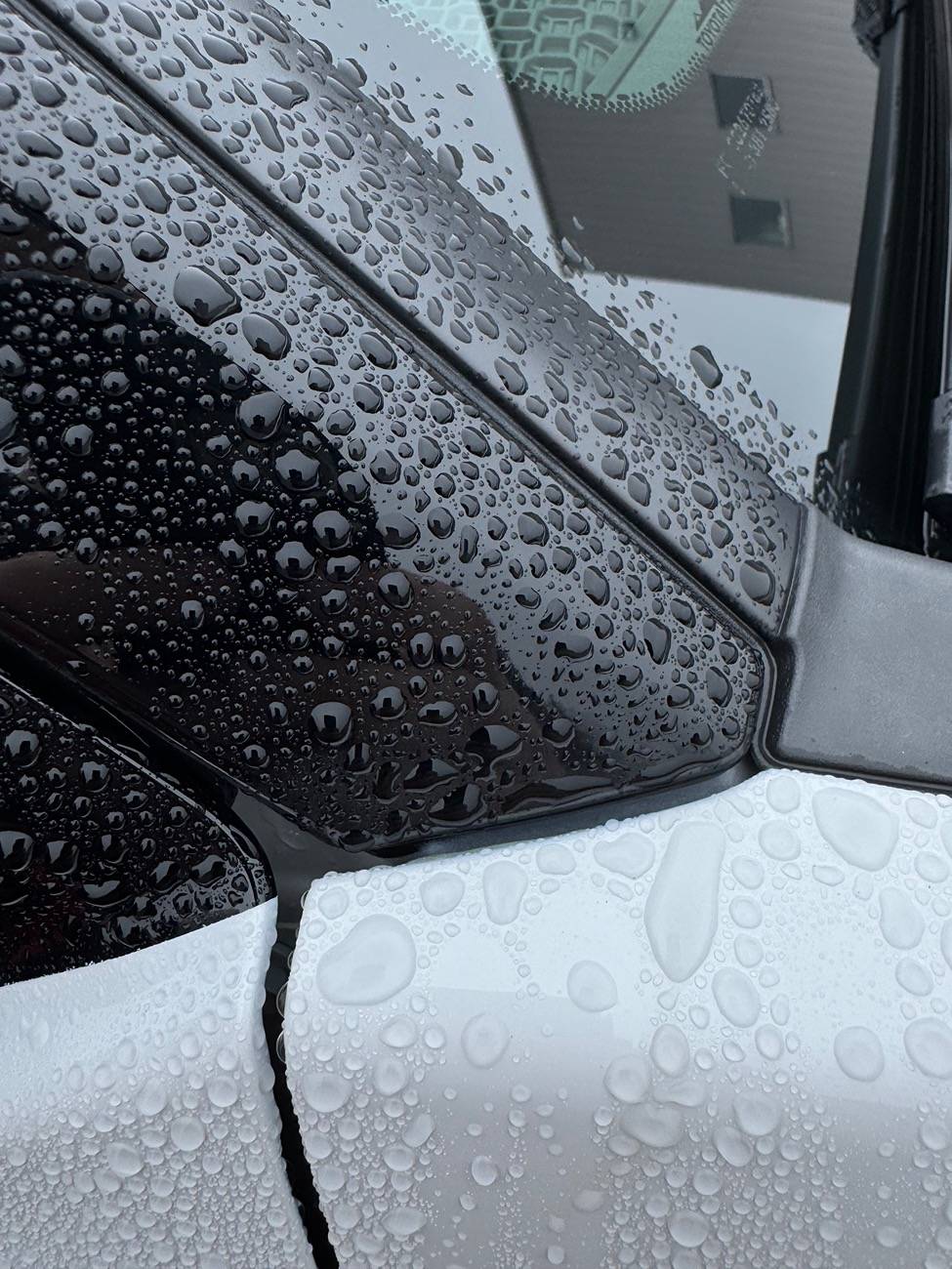 2024 Tacoma Someone with a trd pro two tone help with some photos? IMG_5294