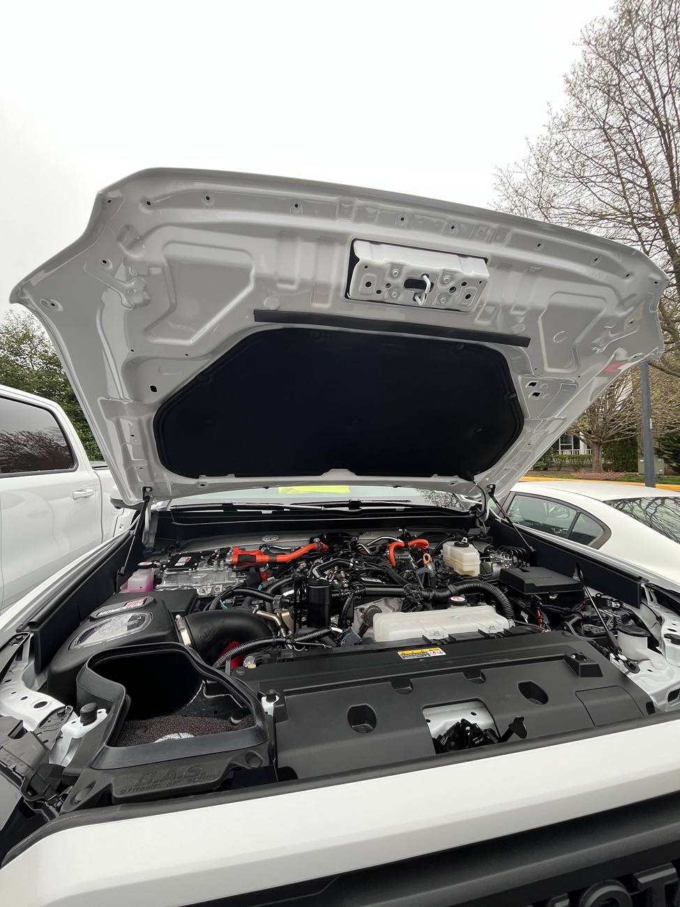 2024 Tacoma OEM Part numbers for the 2024 OEM Tacoma TRD Sport Hood? IMG_5531