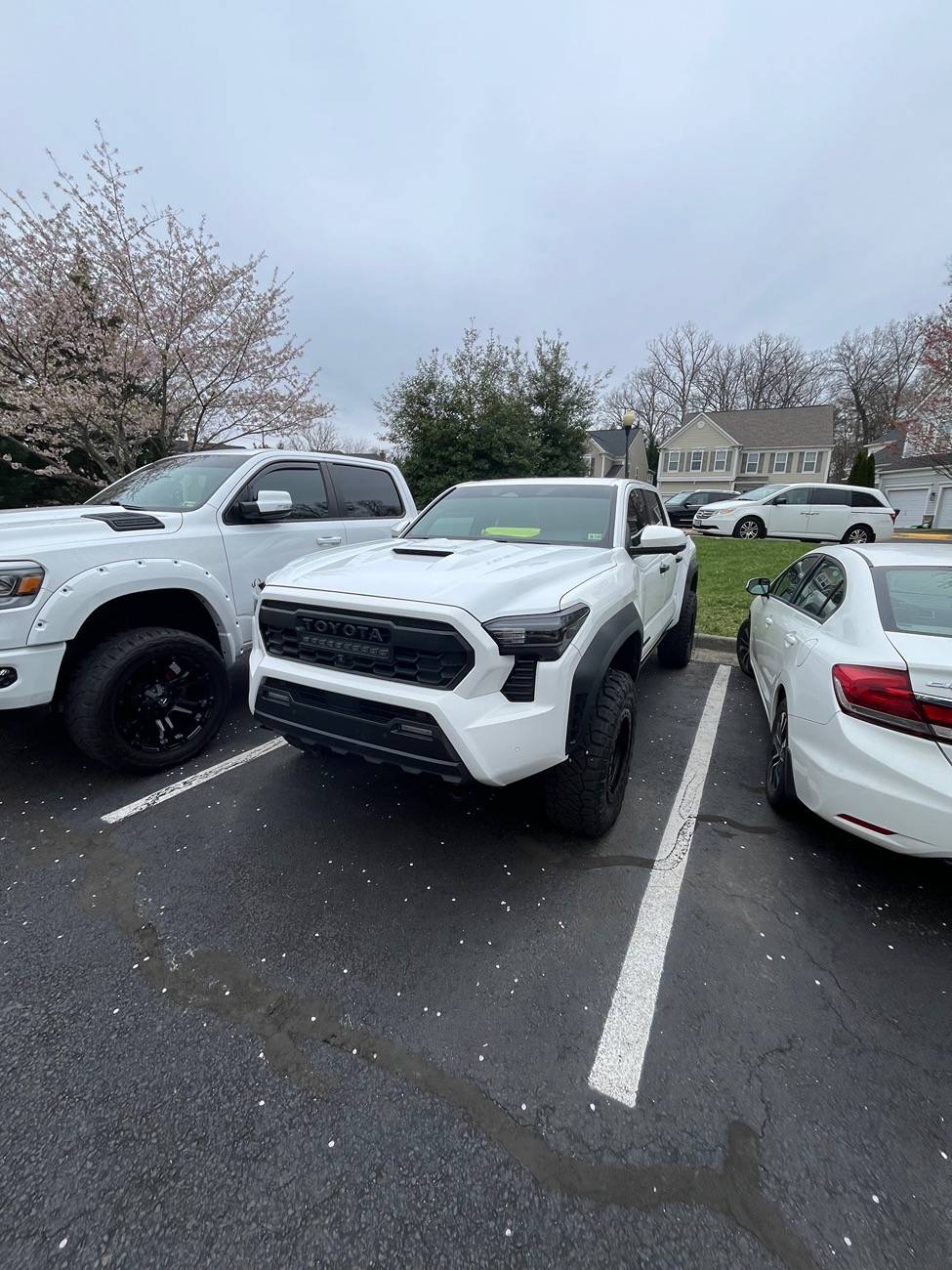 2024 Tacoma OEM Part numbers for the 2024 OEM Tacoma TRD Sport Hood? IMG_5532