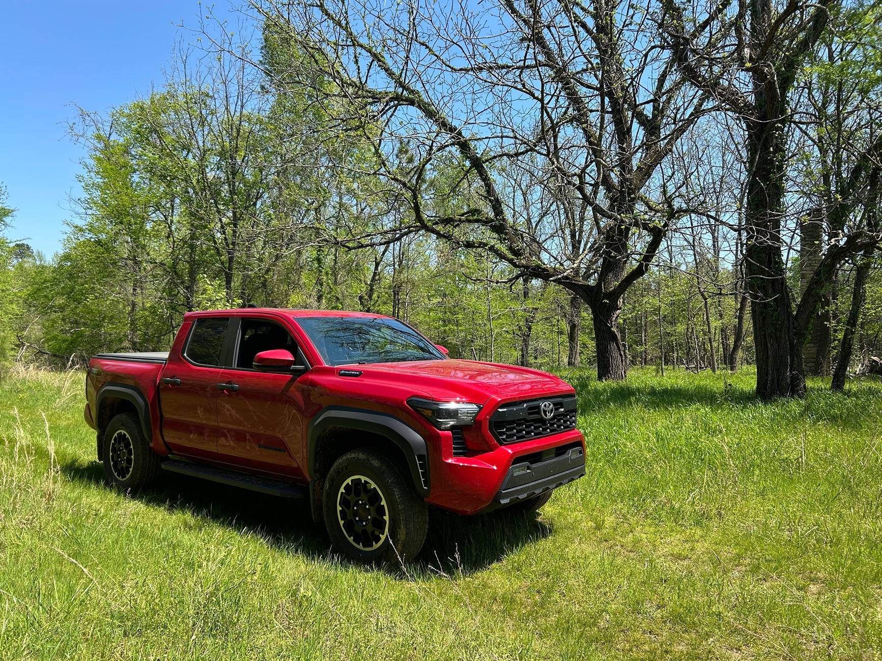 2024 Tacoma Random 2024 Tacoma 4th Gen Photos of the Day - Post Yours! 📸 🤳 IMG_9441