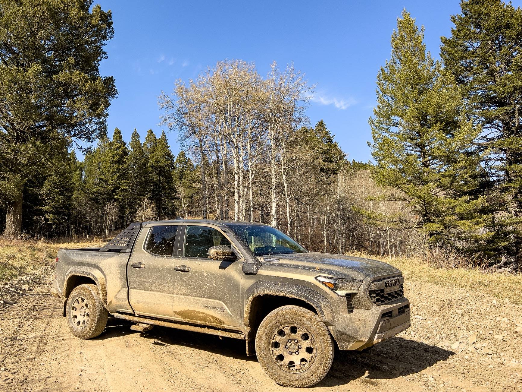 2024 Tacoma Random 2024 Tacoma 4th Gen Photos of the Day - Post Yours! 📸 🤳 IMG_2324