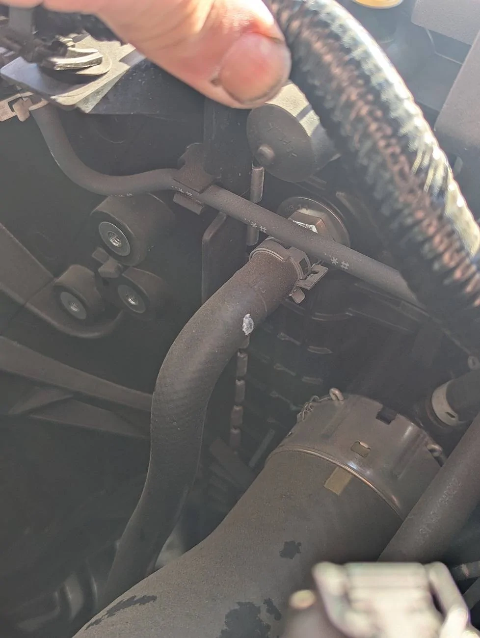 2024 Tacoma 2024 Tacoma Transmission Overheating on Long Climbs Off-Road PXL_20250514_004301758