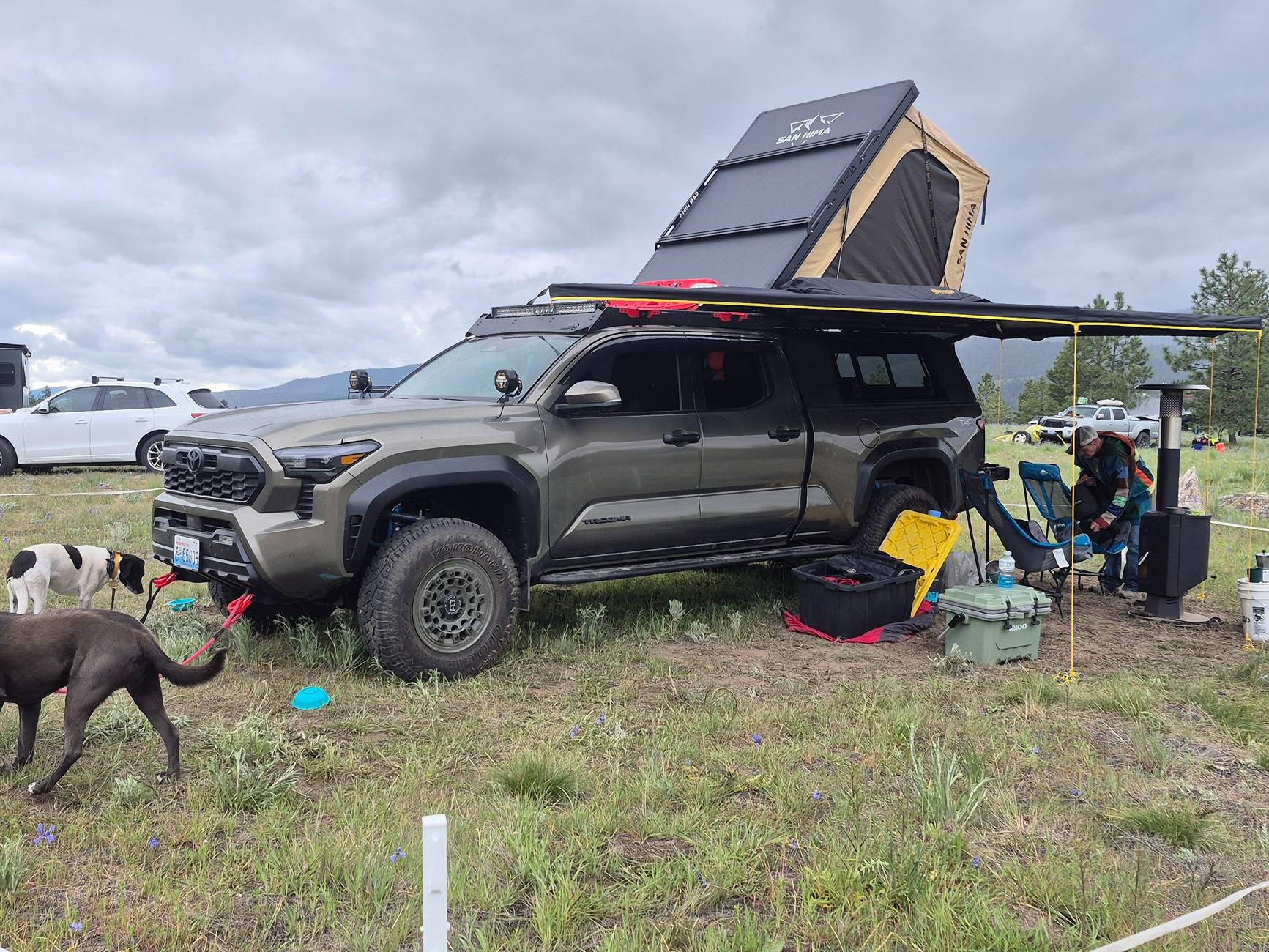 2024 Tacoma Rear suspension: new springs or bump stops? 20250517_101032
