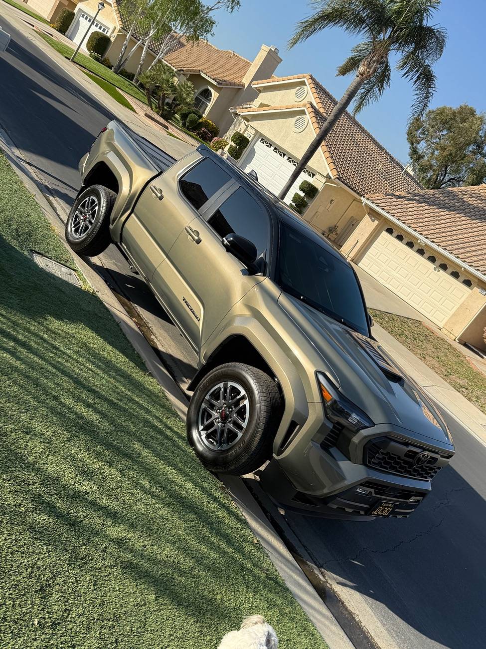 2024 Tacoma Cab Roof Black Wrap to Match the TRD Pro -- Post Your Pics IMG_1473
