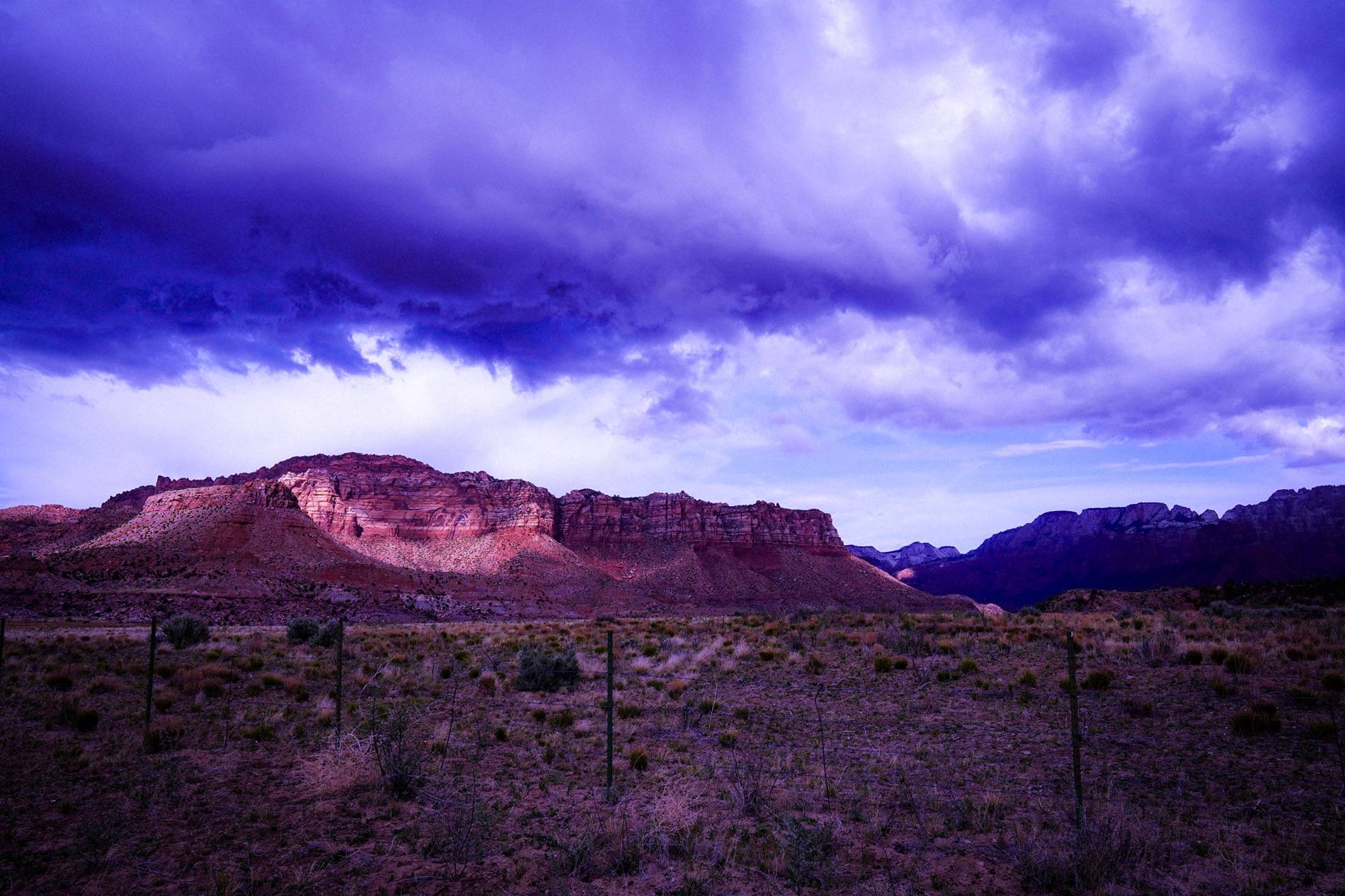 2024 Tacoma Any Photographers in the Sacramento area? 08D340E2-0A4B-44E7-9616-4421D787BE41