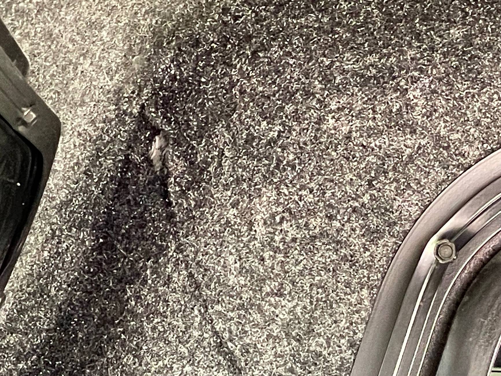 2024 Tacoma Which topper and why ARE? IMG_9258