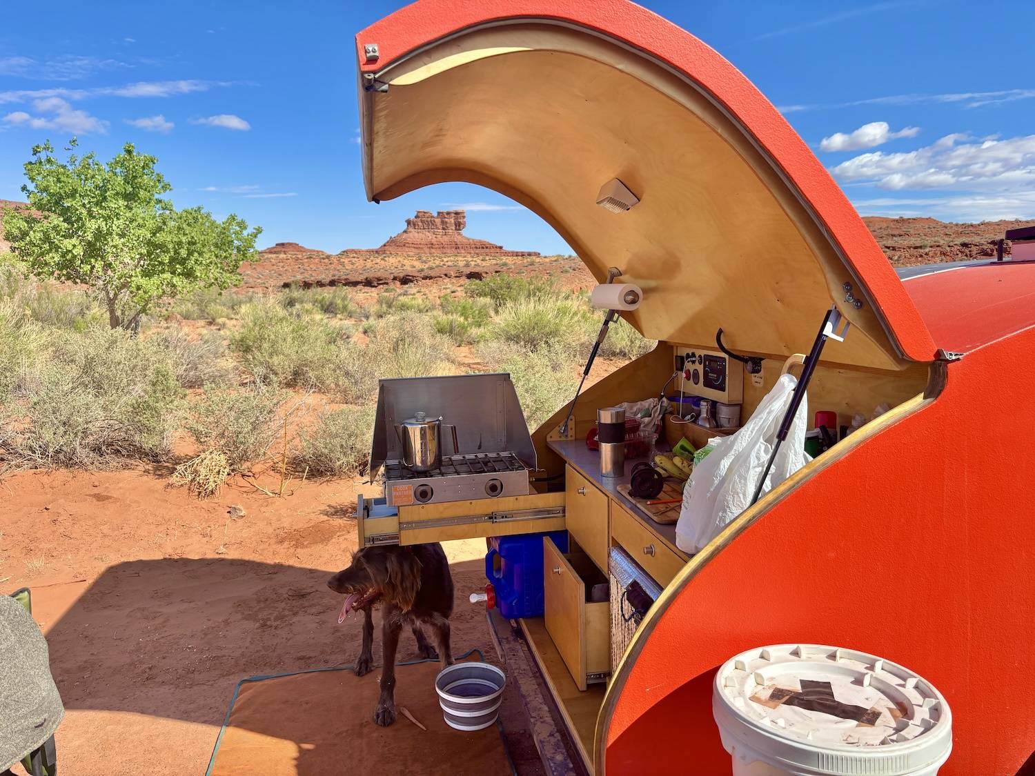 2024 Tacoma Mall Crawlers Stand Up! - I'll be the Lightning rod for the hate, but please, also some advice. bKdkF0f