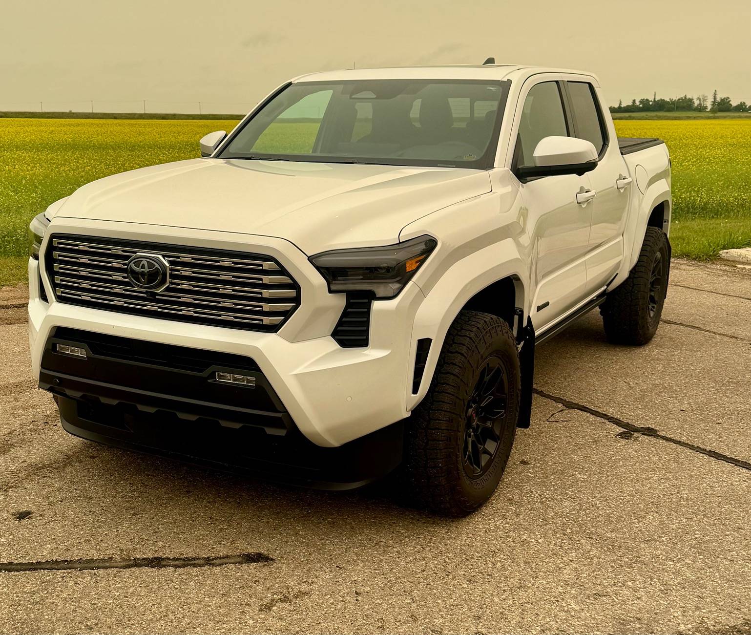 2024 Tacoma WIND CHILL PEARL 2024 Toyota Tacoma Thread IMG_7755