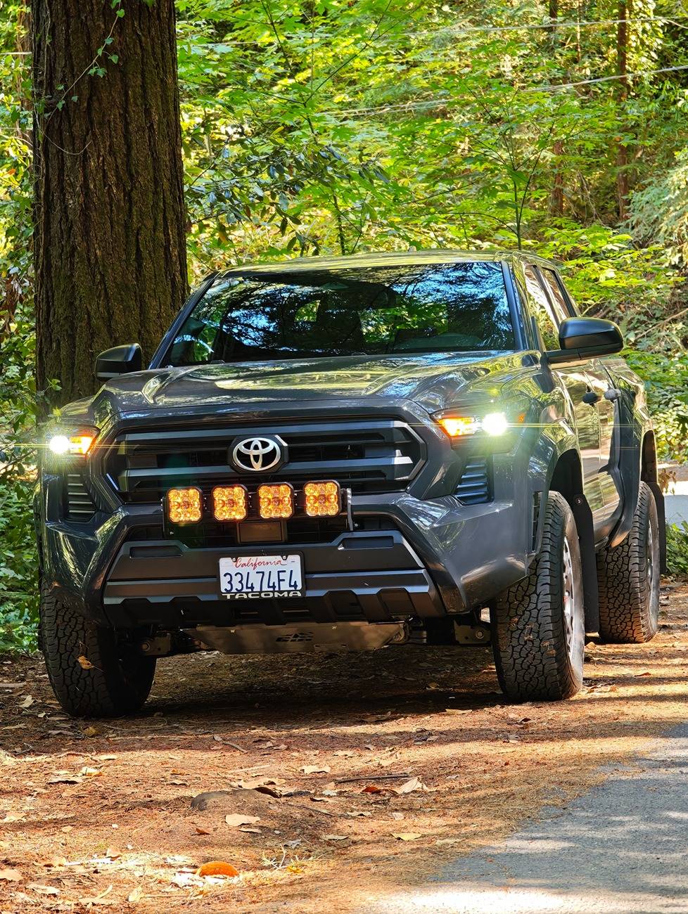 2024 Tacoma Random 2024 Tacoma 4th Gen Photos of the Day - Post Yours! 📸 🤳 1000003903