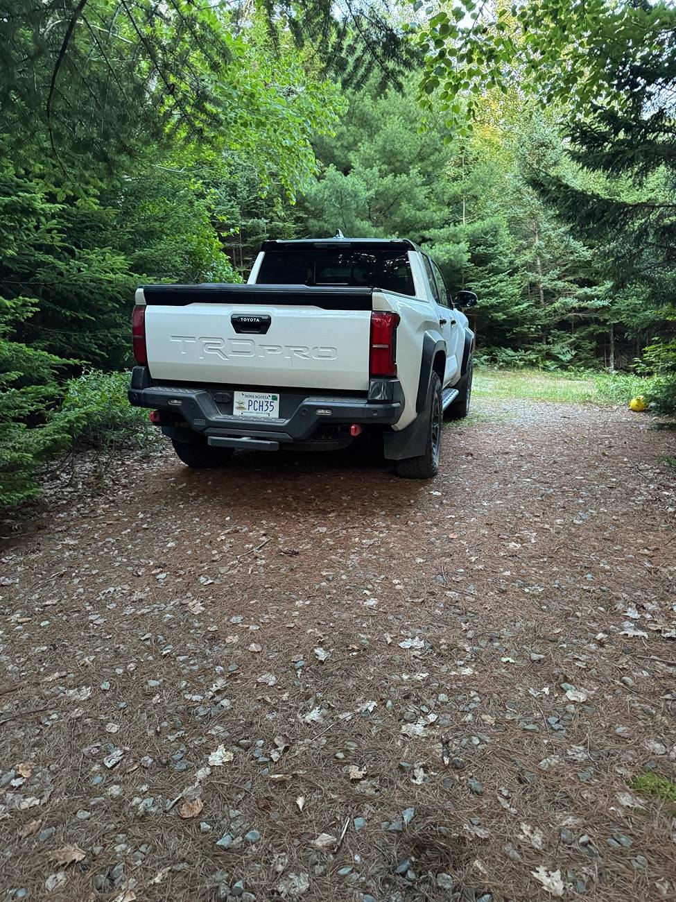 2024 Tacoma What did you do TO / WITH your 4th gen Tacoma today?! 👨‍🏭 🧰 📸 IMG_6857