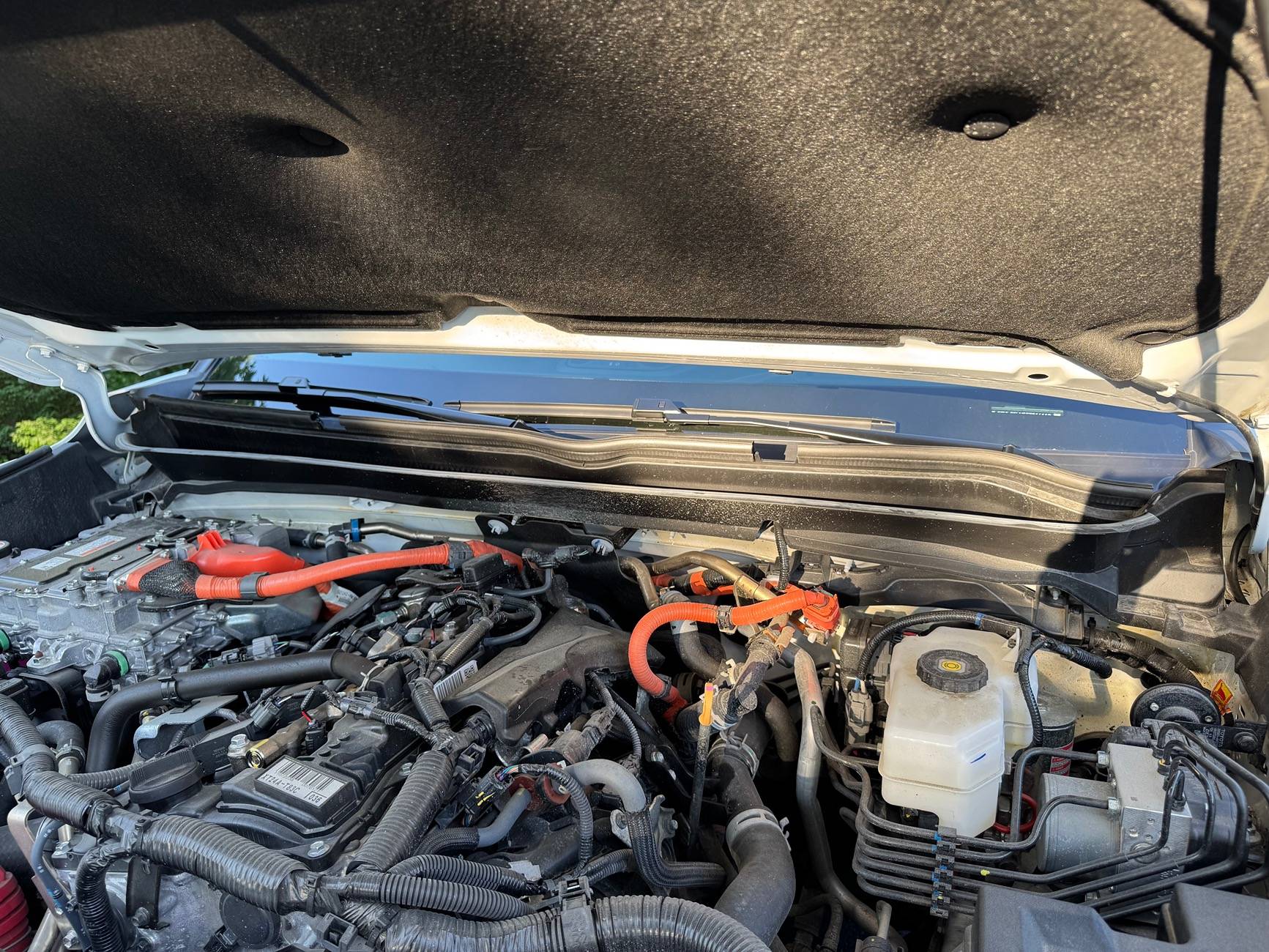 2024 Tacoma Hood Vibrating Fix! (Weather Stripping / Rubber Trim Seal) IMG_6903