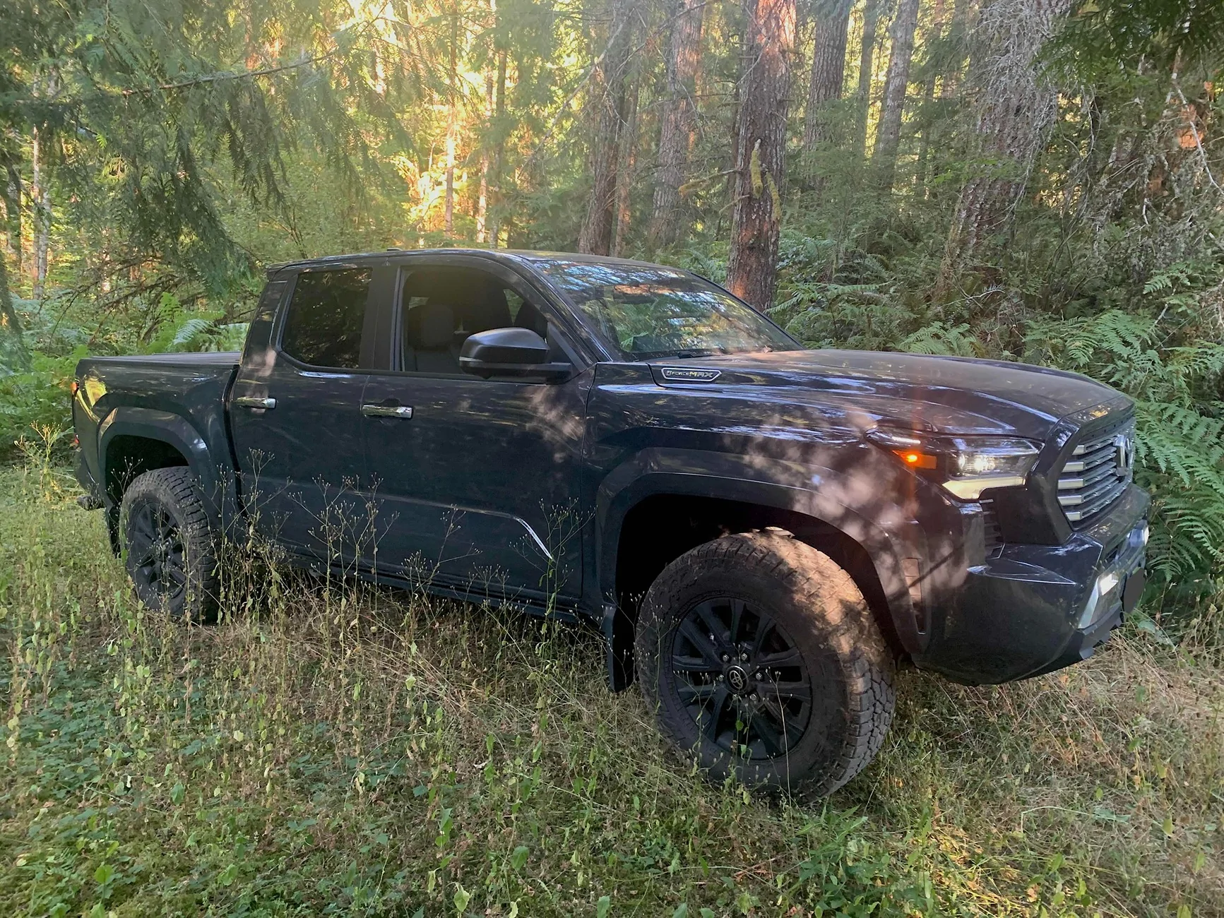 2024 Tacoma FREE Cali Raised LED Roof Rack Giveaway – Enter Now (No Purchase Required) IMG_2092