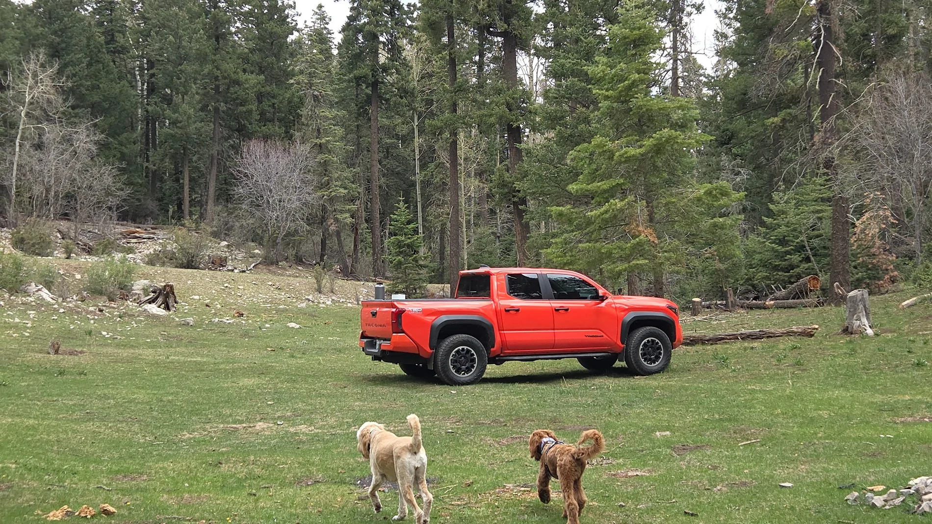 2024 Tacoma FREE Cali Raised LED Roof Rack Giveaway – Enter Now (No Purchase Required) 20250509_130116