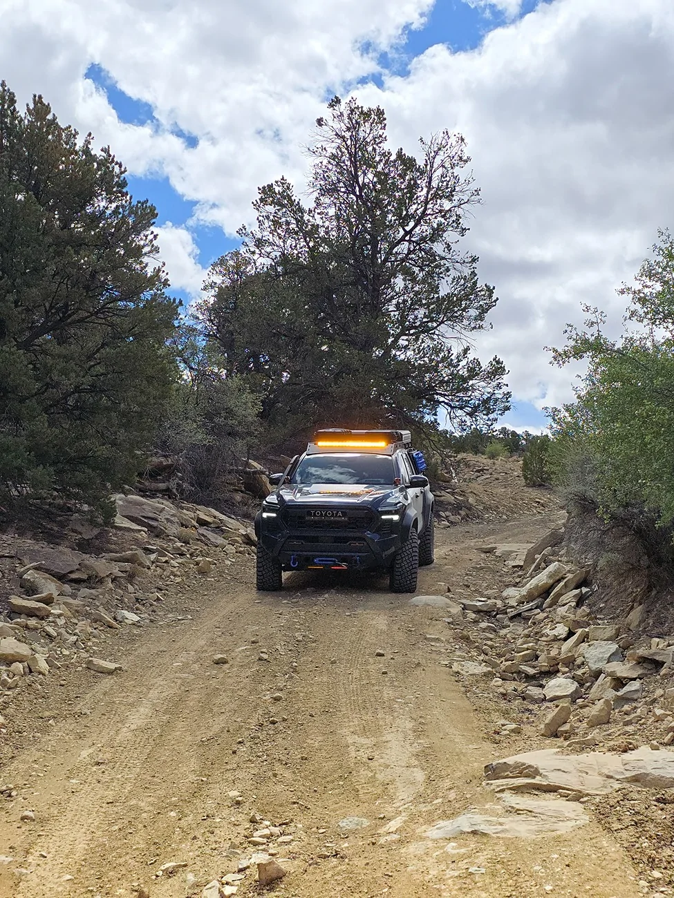 2024 Tacoma Random 2024 Tacoma 4th Gen Photos of the Day - Post Yours! 📸 🤳 1000018160