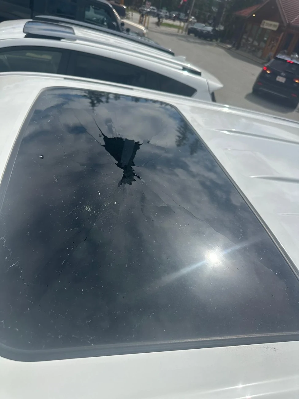 WhatsApp Image 2025-08-10 at 3.50.28 PM.webp