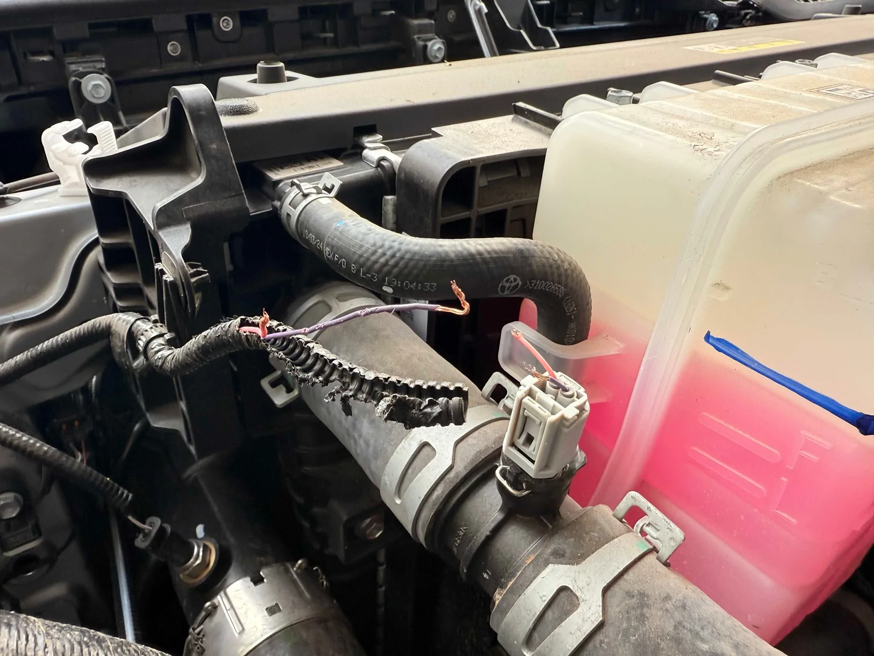 2024 Tacoma Looking for a 2024 Tacoma Coolant temperature plug / pigtail IMG_4159