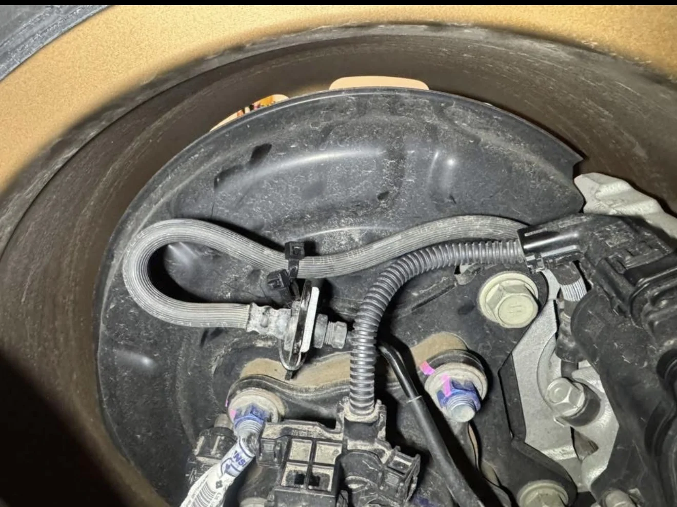 2024 Tacoma Hybrid Tacoma Brake lines 17” wheels. IMG_1337