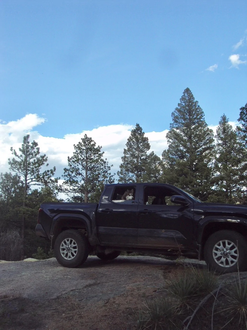 2024 Tacoma Rutsy's Terra Off Road with Pizza Cutters - Toyo Open Country 255/80/17 with Method 705 +35 in Titanium DSC03928