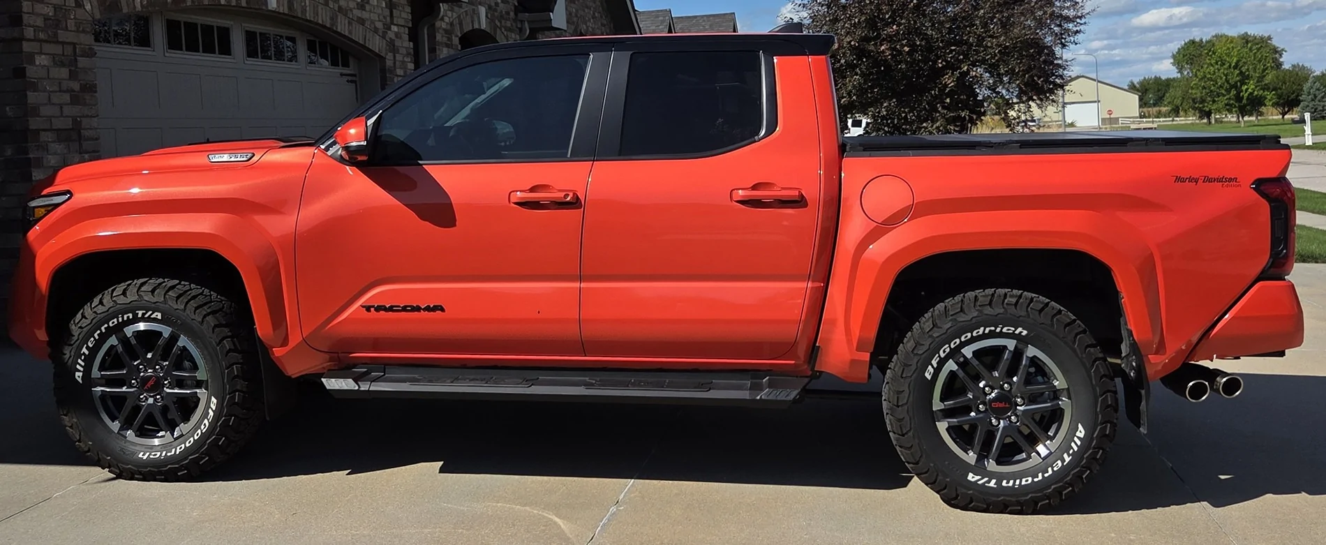 side view (1).webp