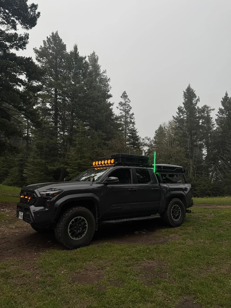 2024 Tacoma Fun AI Images of Your Tacoma - Try This and Post Yours! WhatsApp Image 2025-09-10 at 10.58.01 AM