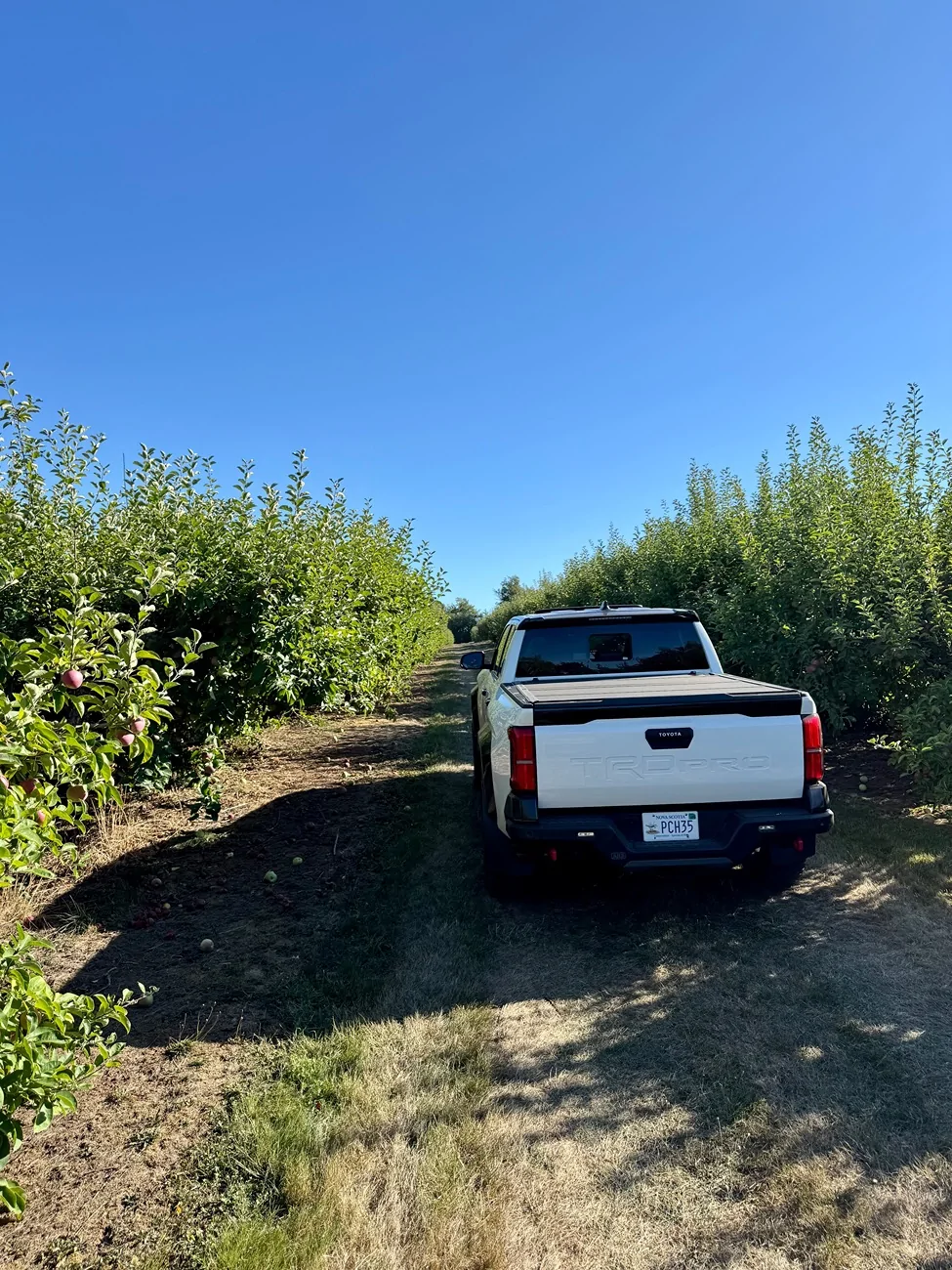 2024 Tacoma What did you do TO / WITH your 4th gen Tacoma today?! 👨‍🏭 🧰 📸 IMG_7909