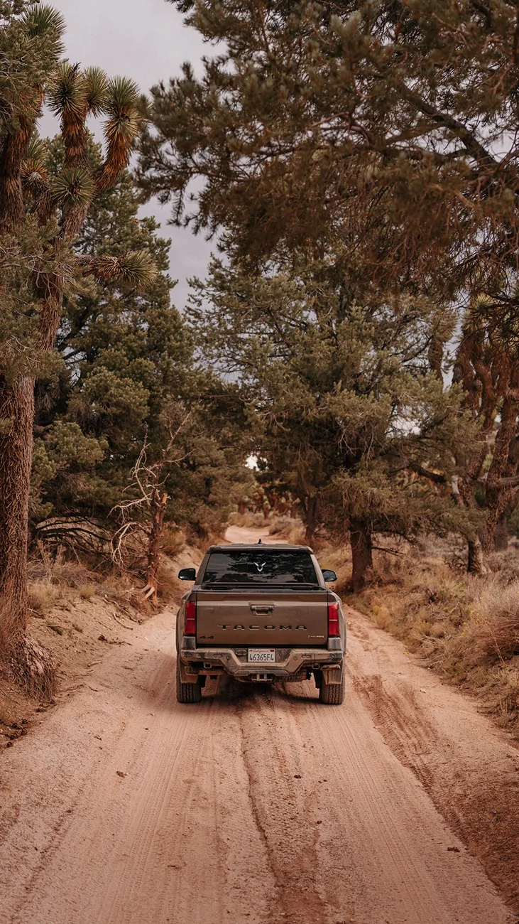 2024 Tacoma Found some mud in Big Bear over the weekend! _RCX5134