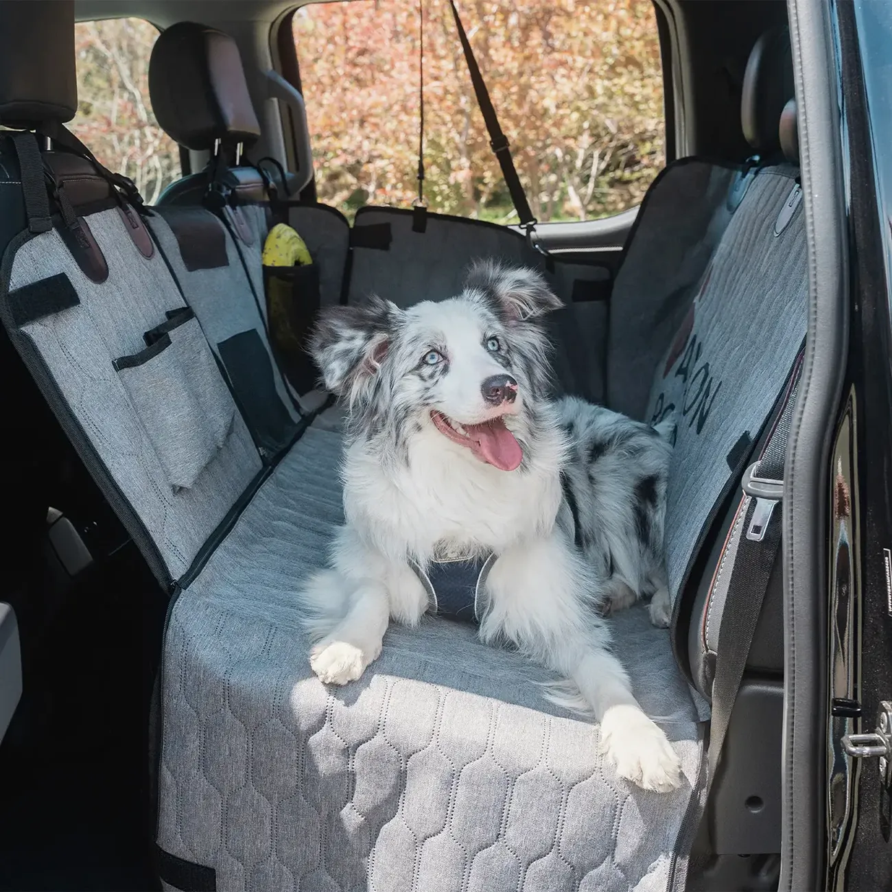 2024 Tacoma Dog owners—how do you keep your truck seats safe? 1_34c3dda4-137f-4239-88a5-fde4bba3a90
