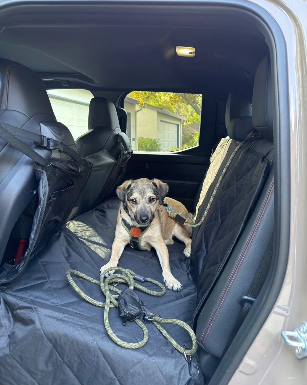 2024 Tacoma Dog owners—how do you keep your truck seats safe? IMG_0121
