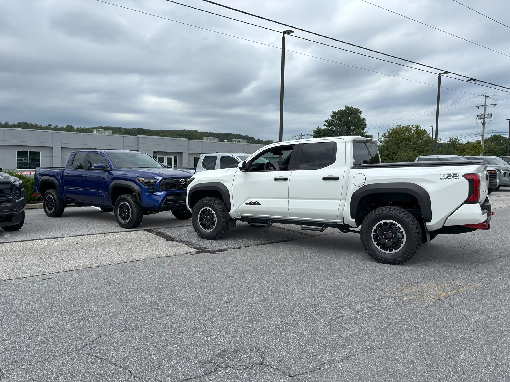 2024 Tacoma Random 2024 Tacoma 4th Gen Photos of the Day - Post Yours! 📸 🤳 IMG_2577
