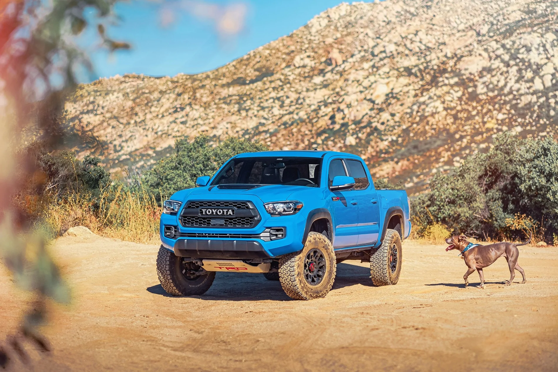 Off Roading in California.webp