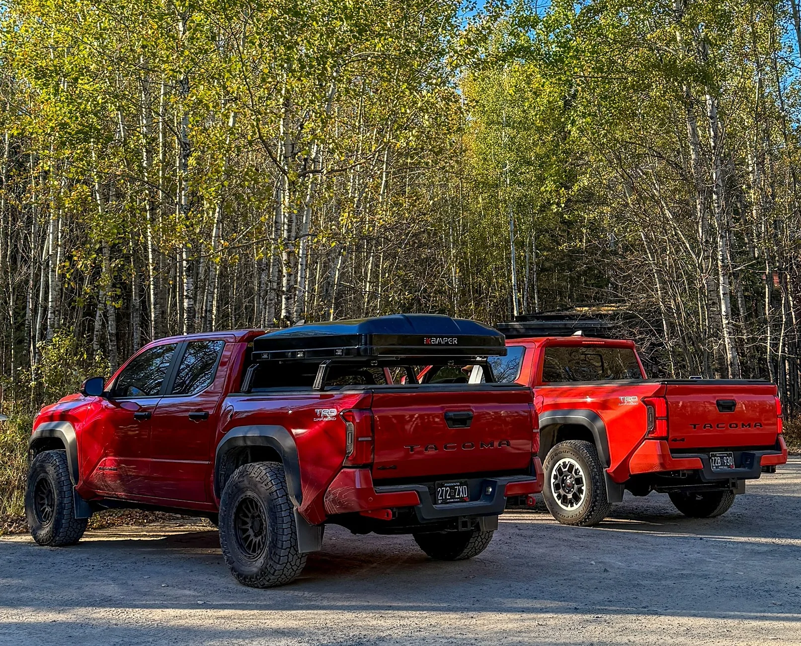2024 Tacoma What did you do TO / WITH your 4th gen Tacoma today?! 👨‍🏭 🧰 📸 IMG_2358