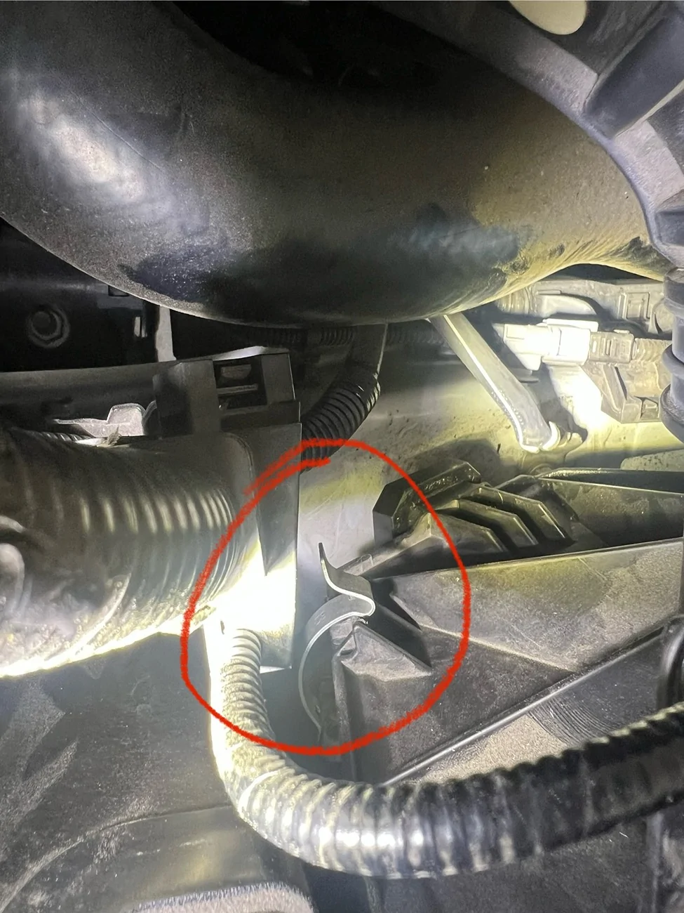 2024 Tacoma Trd Pro / Trailhunter engine airfilter IMG_8022
