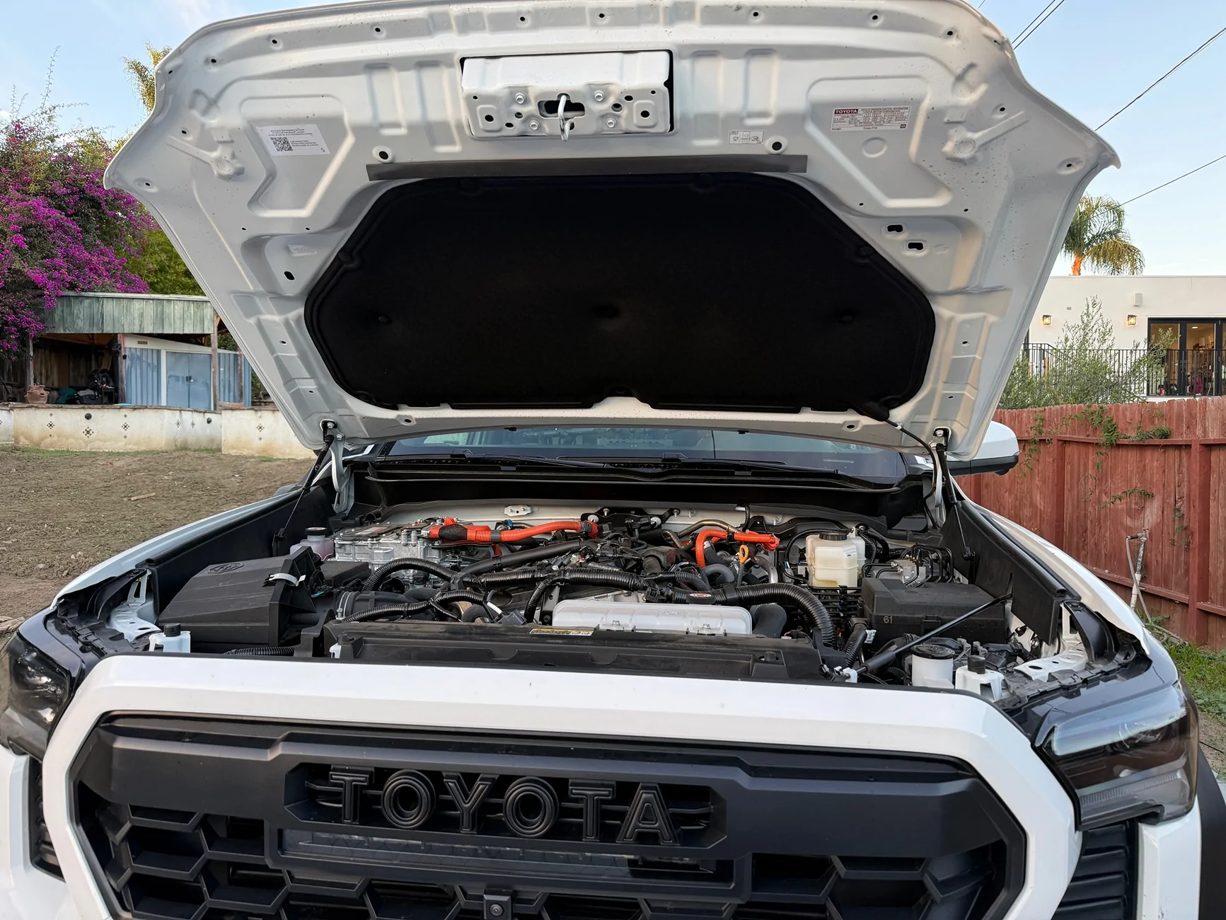 2024 Tacoma Redline hood struts IMG_7865