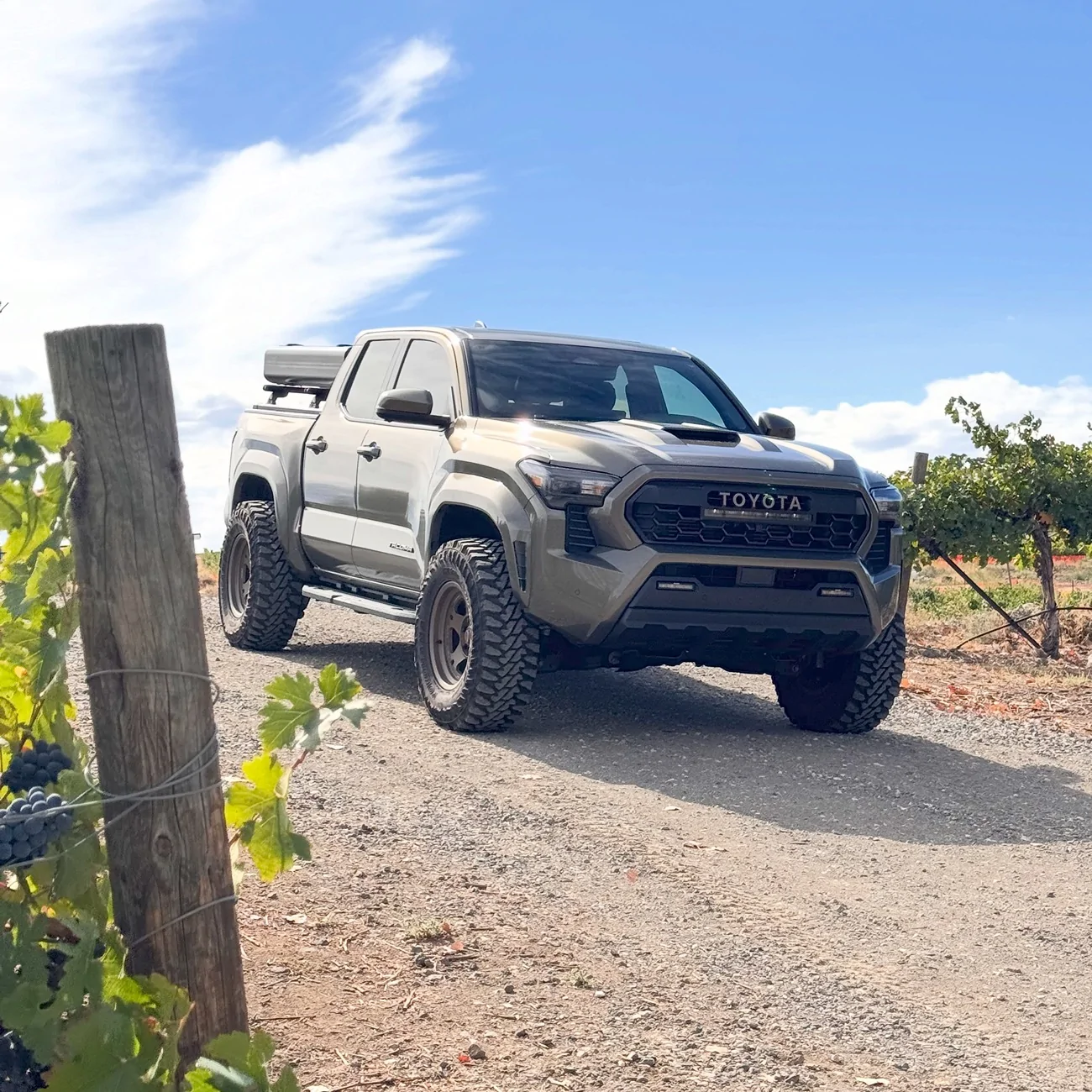 2024 Tacoma BRONZE OXIDE 2024 Tacoma Thread (4th Gen) C0594BC9-4E87-4003-A69A-BB11819DDA6F